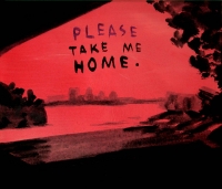 https://www.andreasleikauf.net:443/files/gimgs/th-22_please take me home.jpg